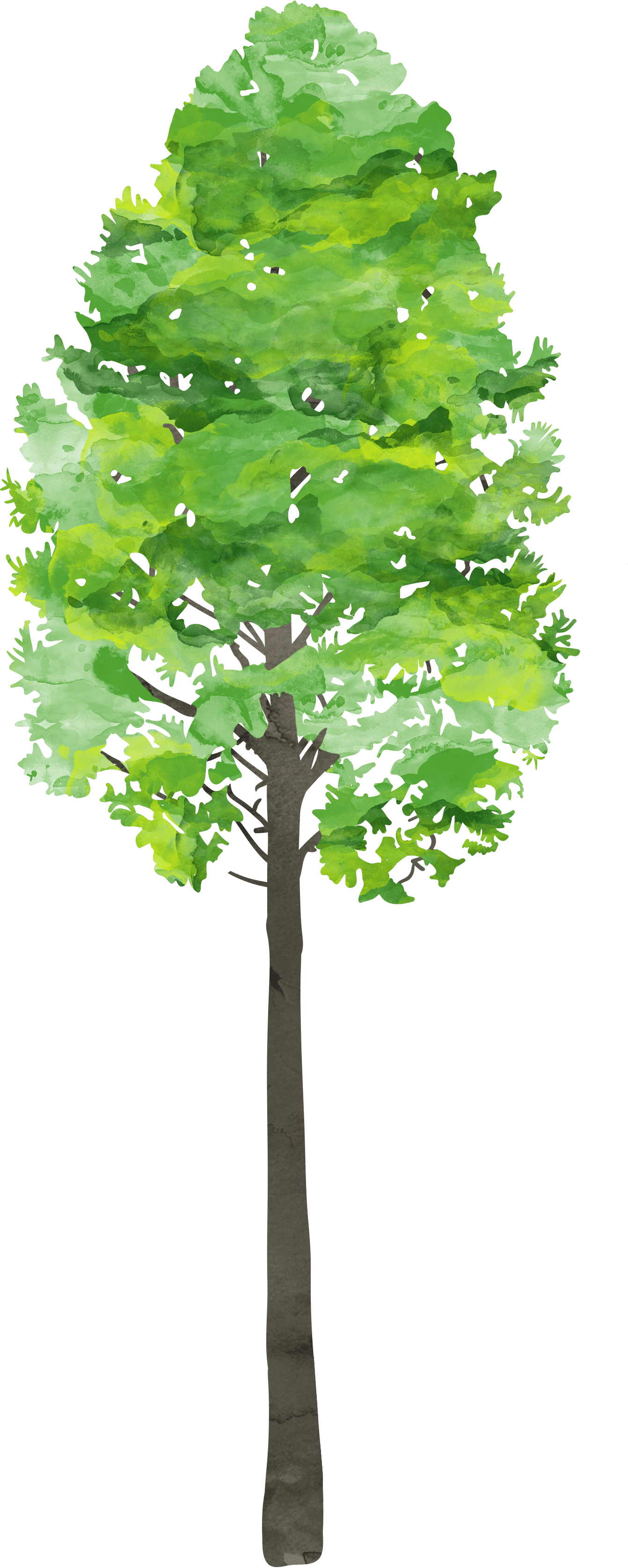 Please Send Campers With Sunhat, Sunscreen And A Packed - Plane (1342x3350), Png Download