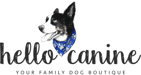 Border Collie (549x293), Png Download