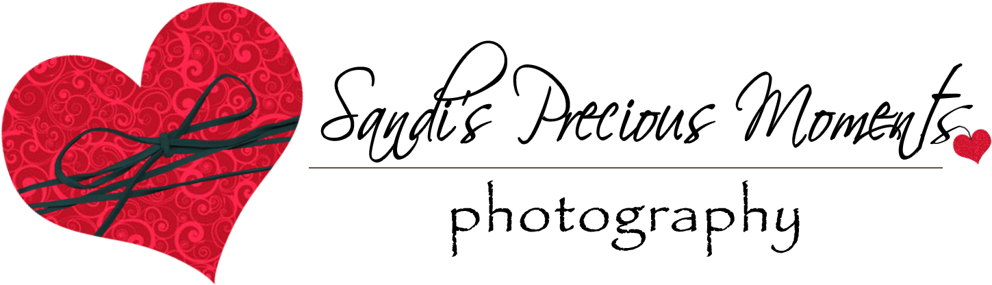 Sandi's Precious Moments Photography - Logo (1500x547), Png Download