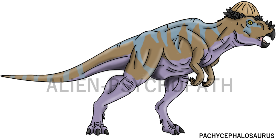 Dinosaur Silhouette, Jurassic Park World, Vector Clipart, - Jurassic Park Pachycephalosaurus Drawing (969x497), Png Download