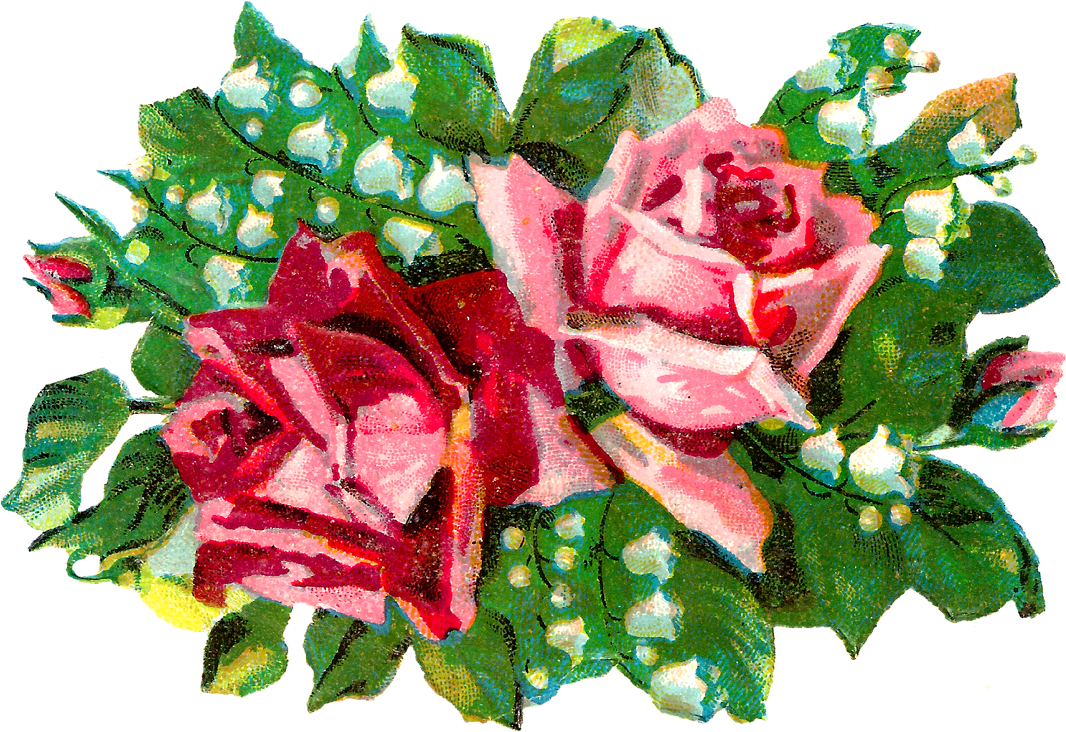 Shabby Chic Rose Image - Pink (1600x1097), Png Download