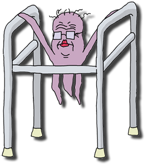 Granny - Squidbillies Granny (450x457), Png Download