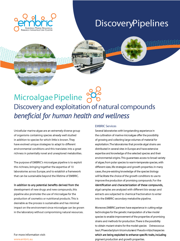 Embric Discovery Pipeline Flyers - Company (596x842), Png Download