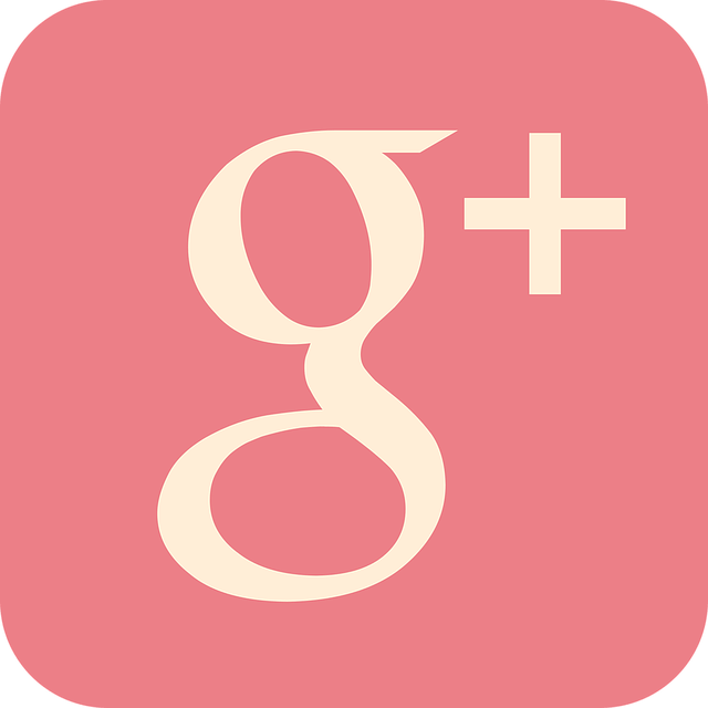 Redes Sociales Más Usadas - Vector Google Plus Png (640x640), Png Download