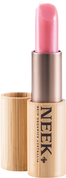 Shine On - Neek Skin Organics - Vegan Lipgloss (shine (700x700), Png Download