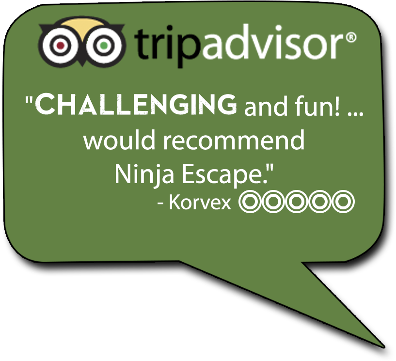 Trip Advisor Review Comment Bubble - Ninja Escape (840x840), Png Download