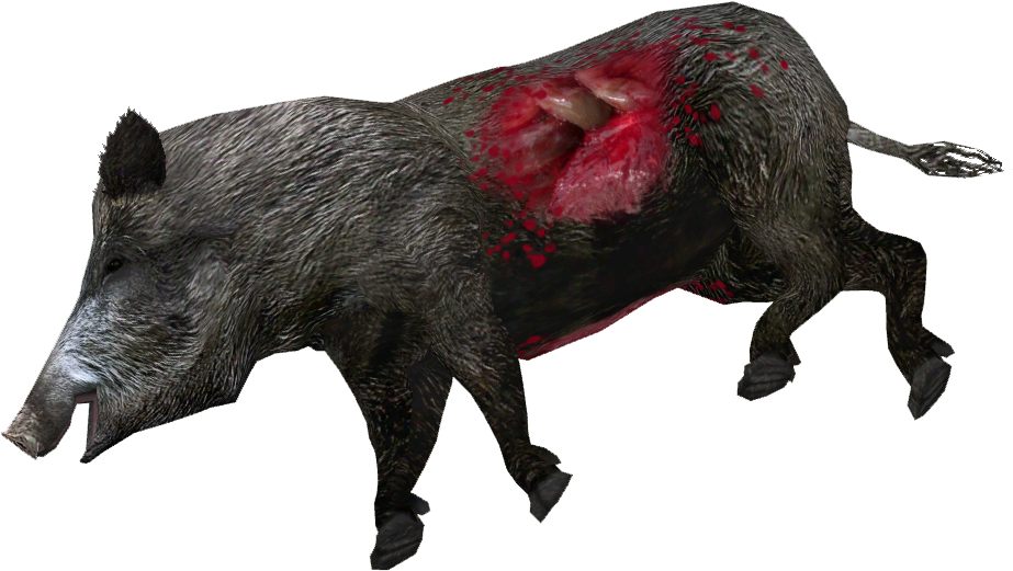 Dead Wild Boar (922x922), Png Download