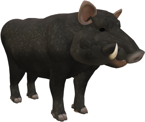 Boar Png Images - Wild Boar No Background (1024x576), Png Download