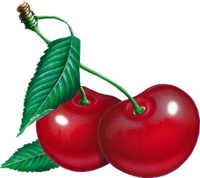 Cherry Clipart Five - Черешня Png (400x357), Png Download
