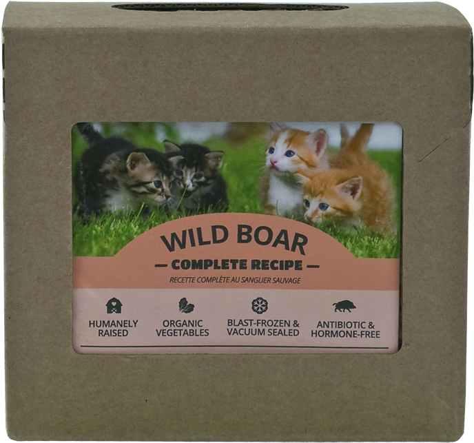 Wild Boar Complete For Cats - Wild Boar (925x750), Png Download