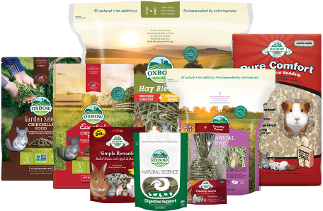 Chinchilla Care - Oxbow Pure Comfort Bedding Oxbow Blend (500x500), Png Download