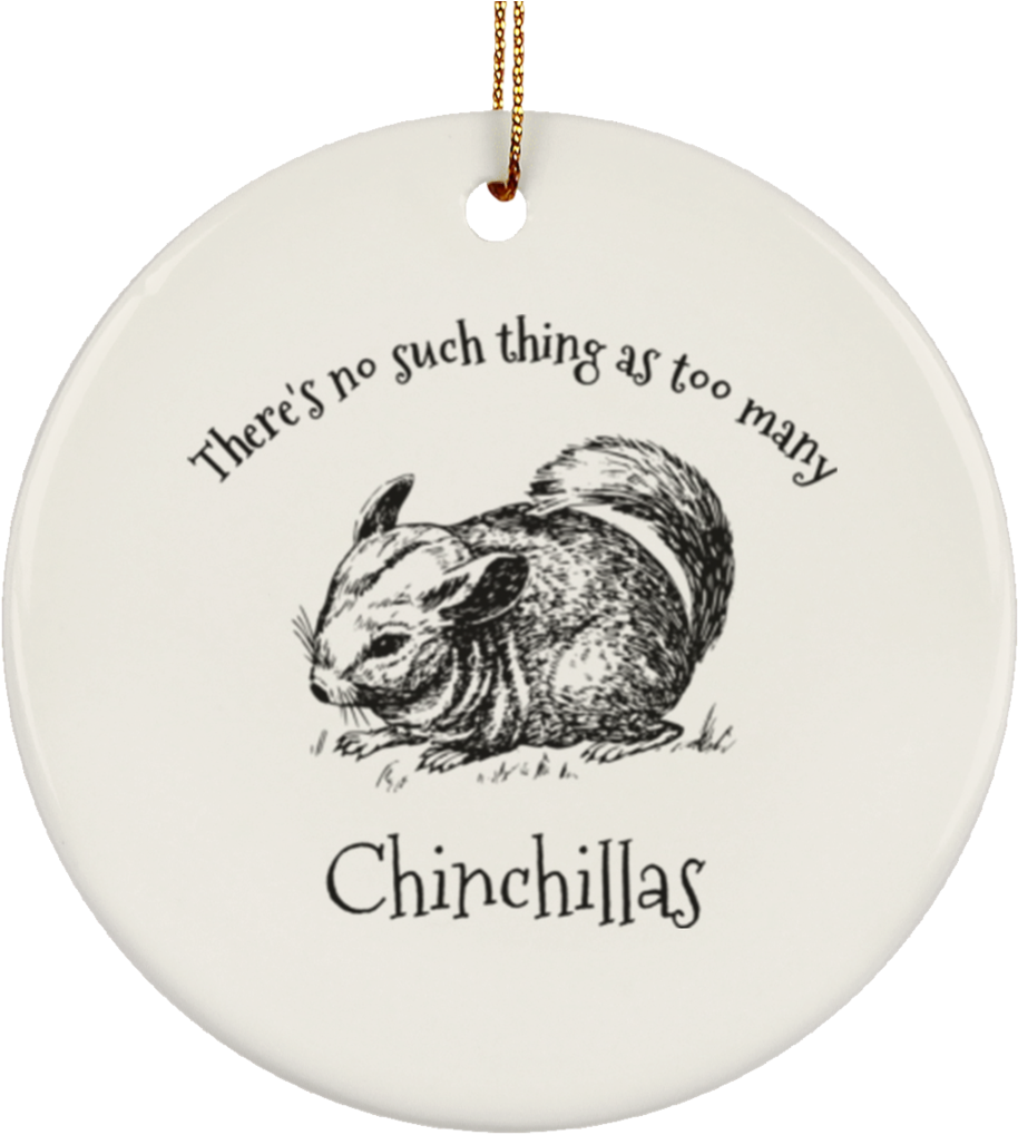 Chinchilla Lover's Christmas Tree Ornament Ceramic - Complete Guide To Chinchilla Care: (1024x1024), Png Download