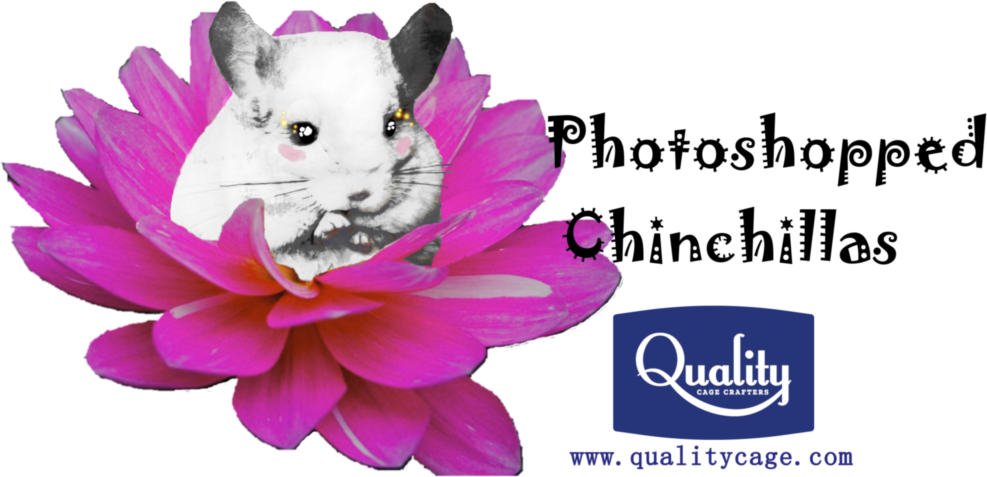 Photoshopped Images Can Be Hilarious, Beautiful, Or - Philosophy Of Humour By Paul Mcdonald (3587x1958), Png Download