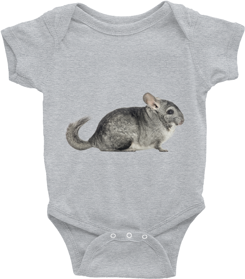 Chinchilla Print Infant Bodysuit - Onesies For Babies (1000x1000), Png Download