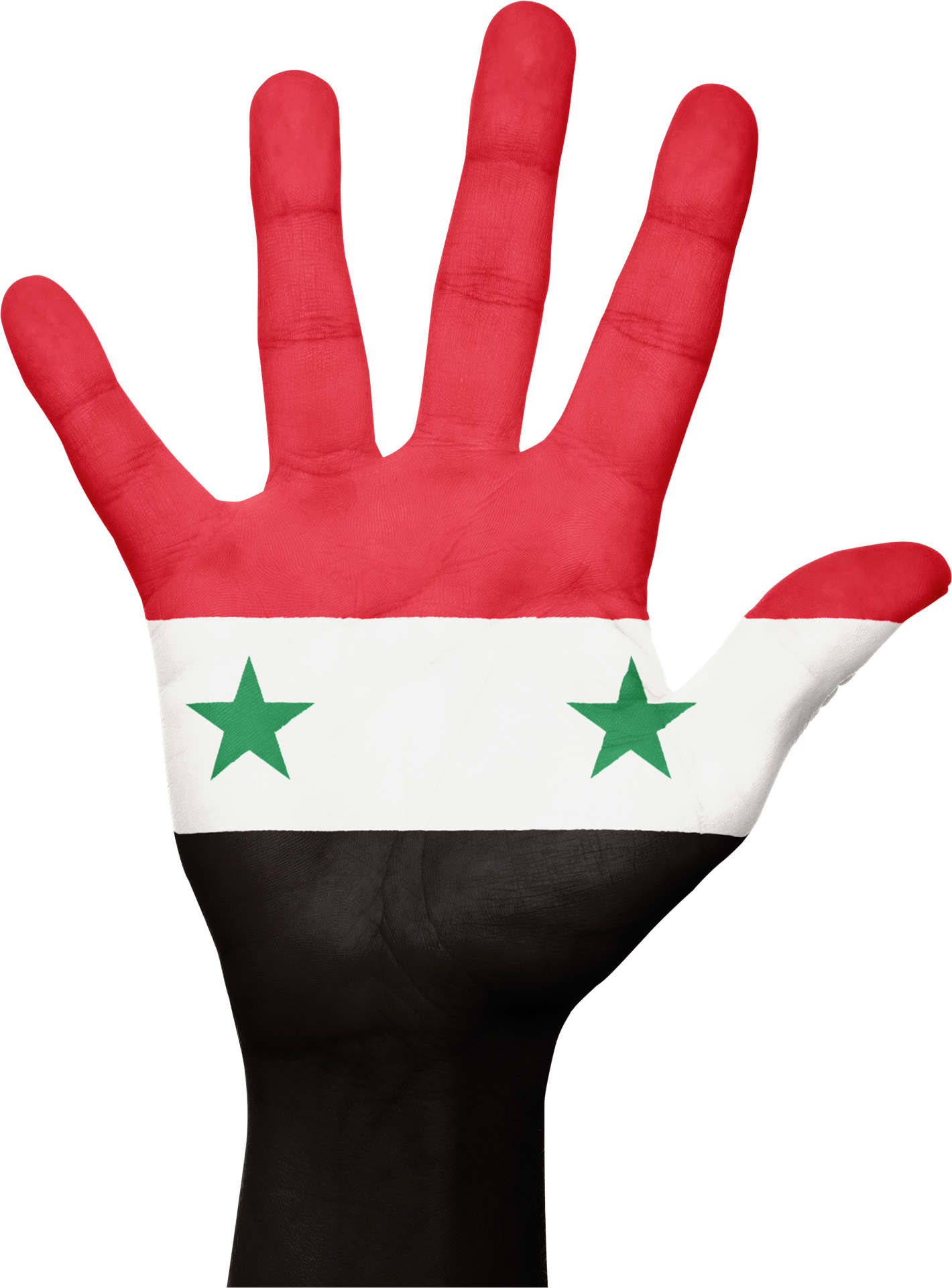 Syria - Bandera De Siria Png (1420x1920), Png Download