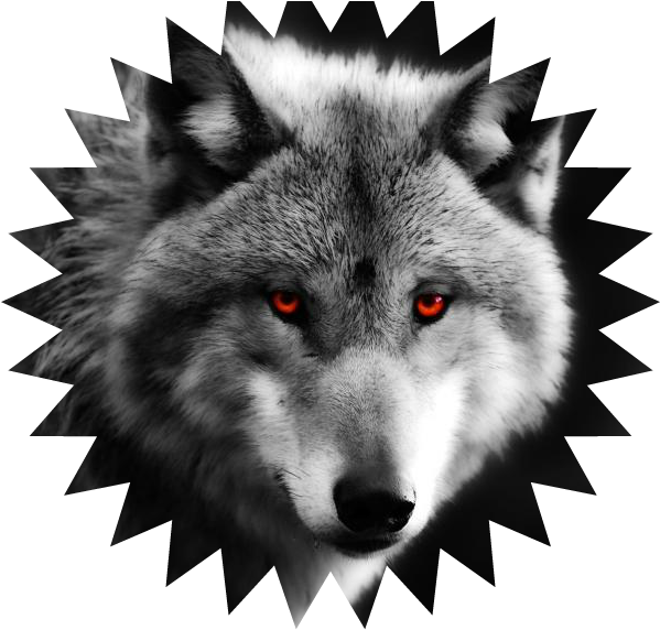 Wolf Cl3aesgfgrfose Up Weee111red Eyes Predator 1080p - Logo Jésus Agence Pub (970x606), Png Download