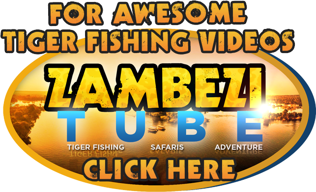 Zambezitube-logo - Evolução Da Depilação Feminina (643x391), Png Download