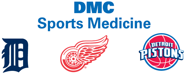 Sports Team Logos - Team Golf 13948 Nhl Detroit Red Wings Switchfix Divot (724x296), Png Download