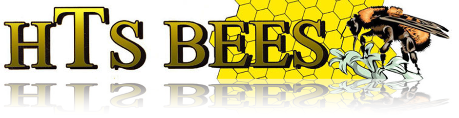 Logo - Hts Bees Llc (940x242), Png Download