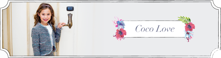 Coco - Chinese Hibiscus (936x246), Png Download