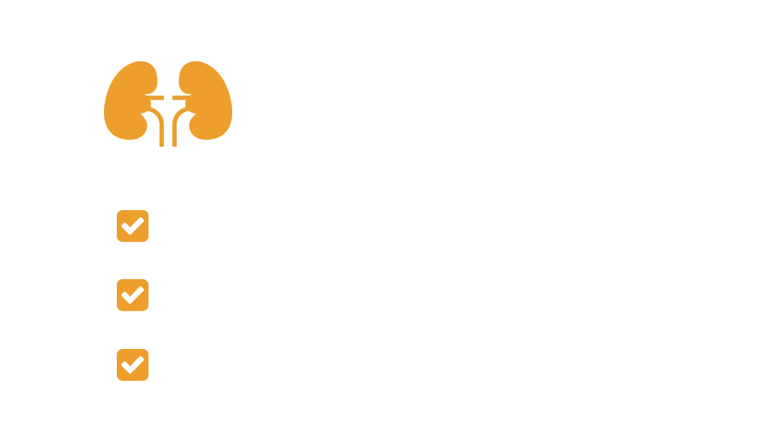Test The Health Of Kidneys, Shows Check Mark Next To - Kidney (1088x608), Png Download