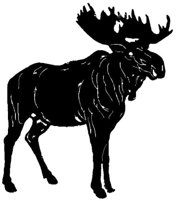 Cowgirl Roping Calf - Lost 42 Pounds (450x419), Png Download