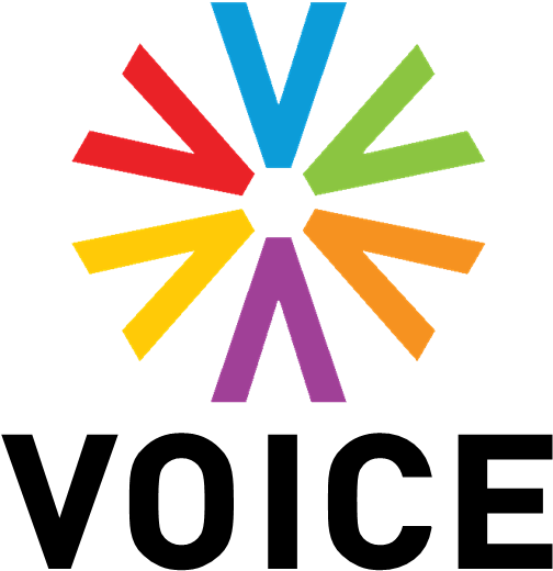 Voice Tv 2017 - Voice Tv 21 (503x533), Png Download