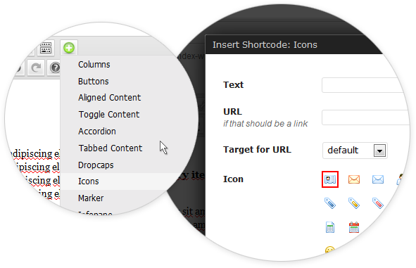 Text With Icon - Accordion (591x381), Png Download