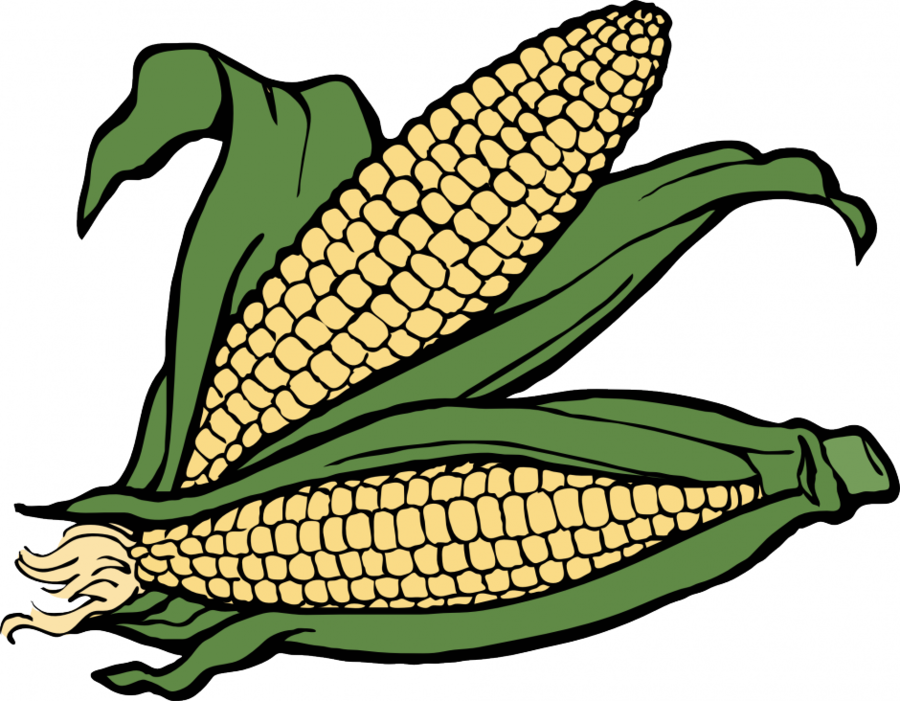 Corn Clipart Maize Clip Art - Corn Clipart (900x701), Png Download