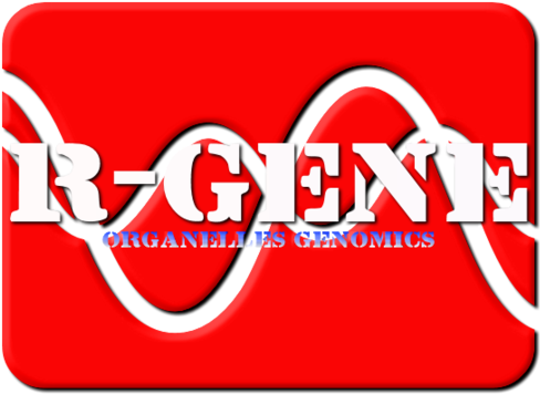 Liquorice -chloroplast Dna Isolation Kit - Chloroplast (499x366), Png Download