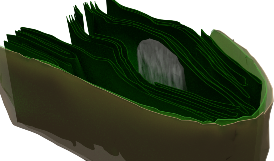 Tomographic Reconstruction (1000x563), Png Download