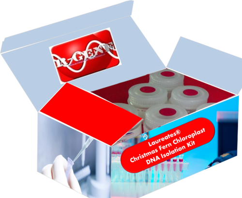 Christmas Fern Chloroplast Dna Isolation Kit - Box (500x408), Png Download