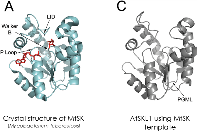 Together, These Results Reinforce Previous Notions - Graphic Design (711x474), Png Download