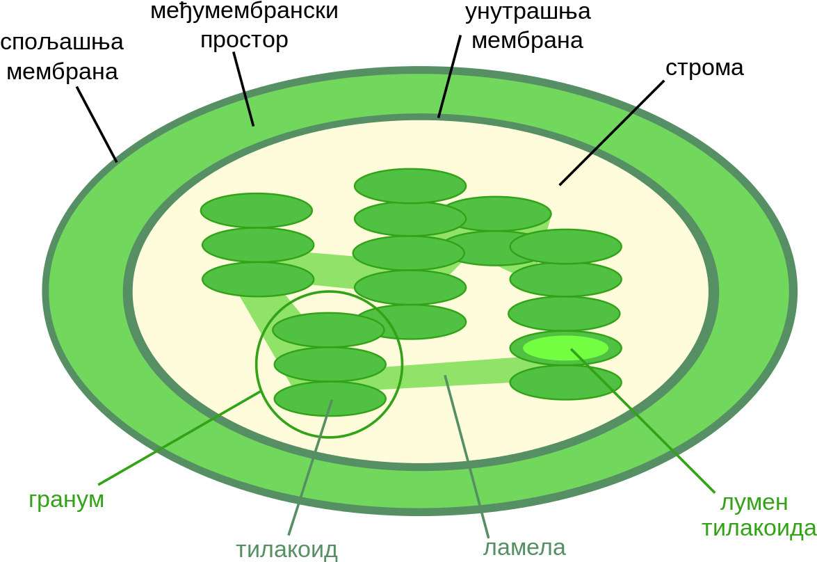 Chloroplasts - Thylakoid Space In Chloroplast (1280x905), Png Download