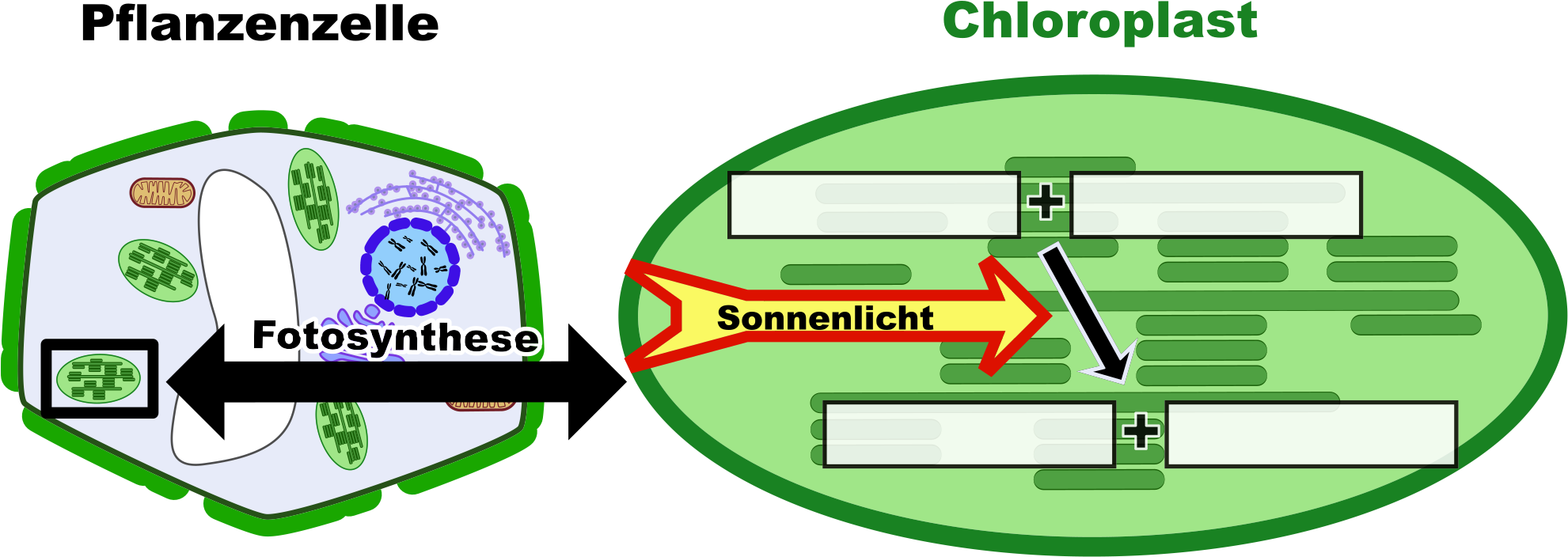 Open - Wikimedia Commons (2000x723), Png Download