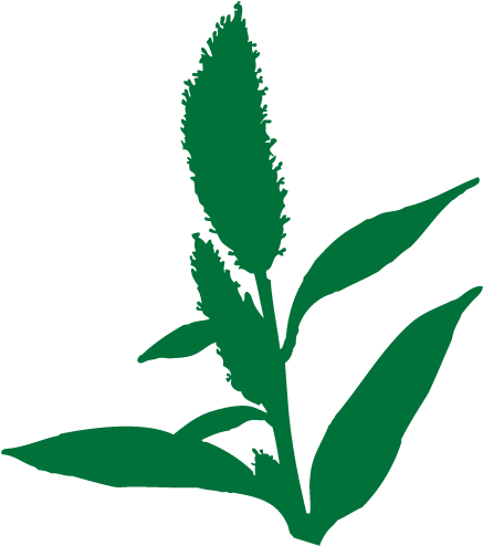 Contact - Illustration (569x574), Png Download