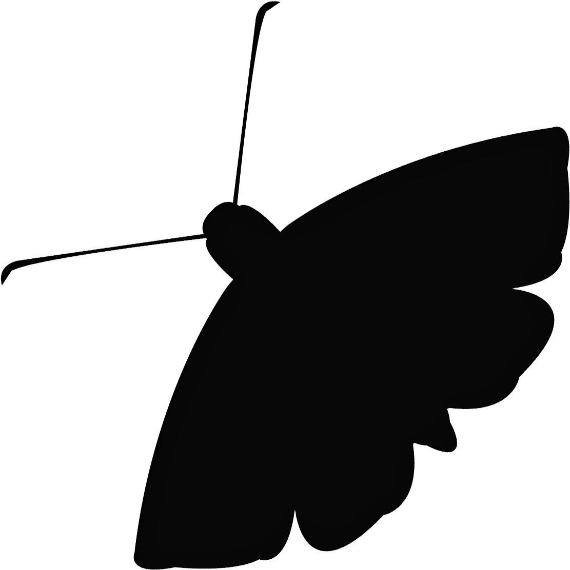 The Moth's Education Program Brings The Art And Craft - Moth Icon (1200x1200), Png Download