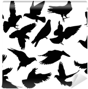 Eighteen Dove Silhouettes Isolated On White Wall Mural - Pigeon Silhouette (400x400), Png Download