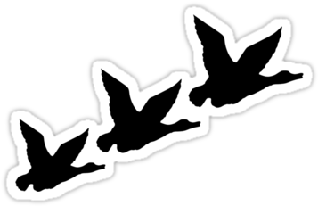 Flying Duck Silhouette - 2 Flying Ducks Silhouette (375x360), Png Download
