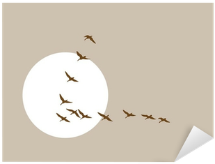 Flying Ducks Silhouette On Solar Background Sticker - Harmony In Worship: Building Supportive Relationships (400x400), Png Download