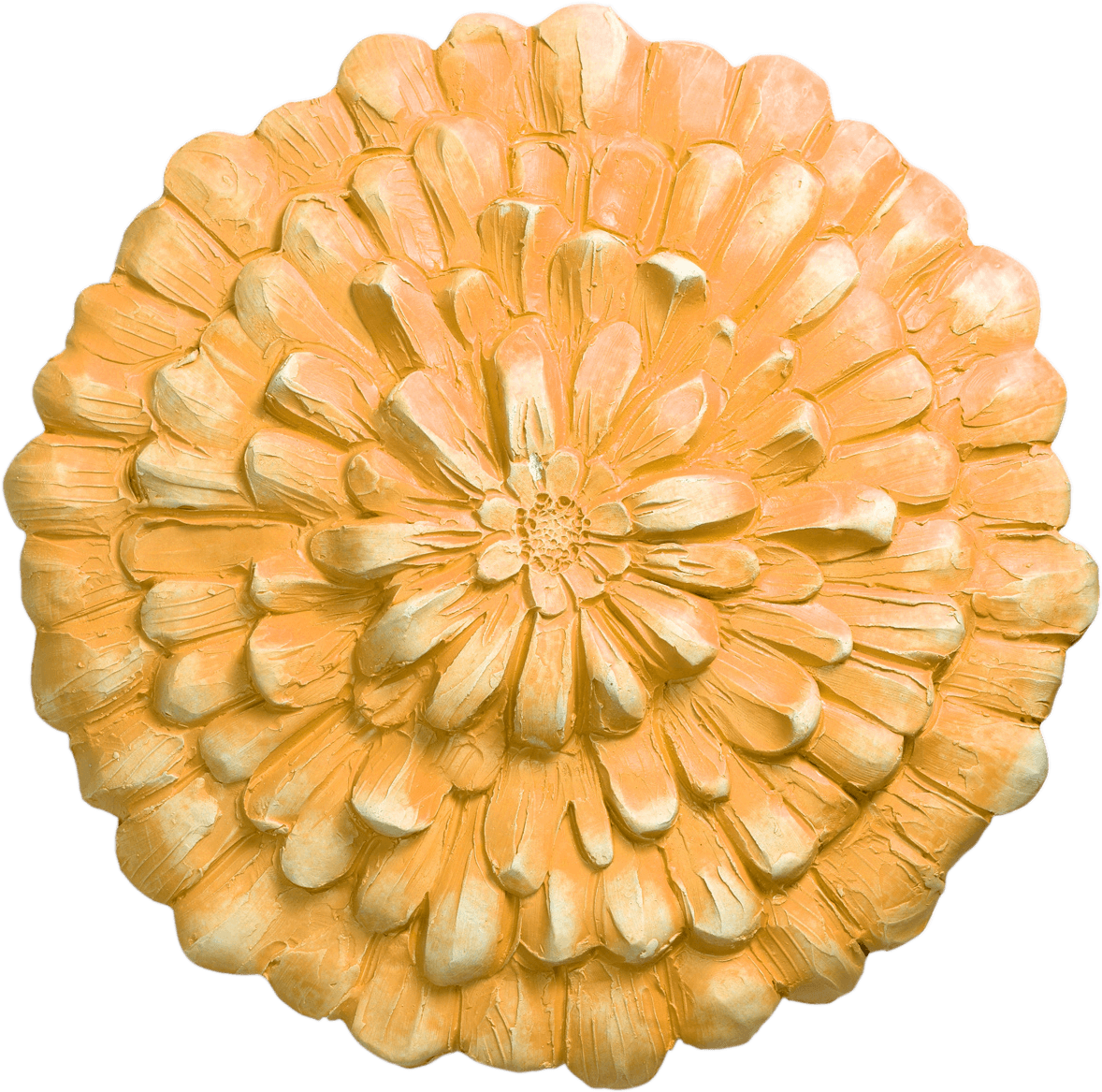 Common Zinnia (500x500), Png Download