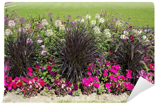 Beautiful Colorful Flower Garden With Various Flowers - Flower (400x400), Png Download