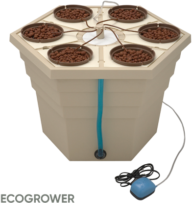 Ecogrower® - Rainforest Ghe (480x480), Png Download