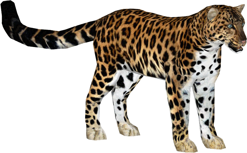 Leopardamur Slice - Zoo Tycoon 2 Arabian Leopard (826x826), Png Download