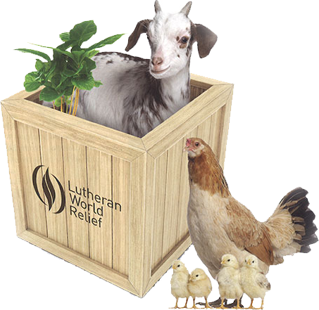 Thumbnail - La Granja. Mi Libro Memo ¡con 2 X 20 Tarjetas Memo! (453x441), Png Download