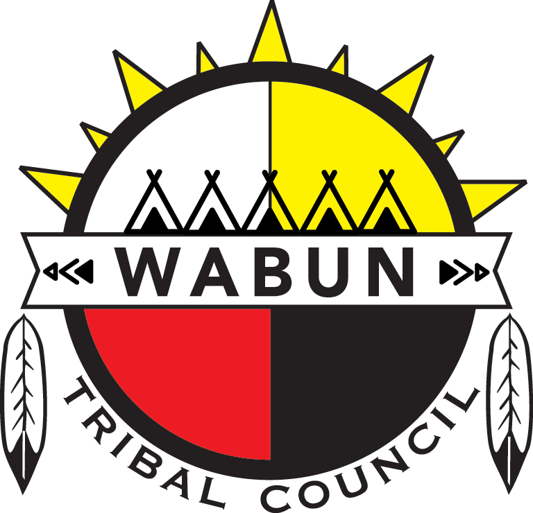 Wabun Tribal Council (768x740), Png Download