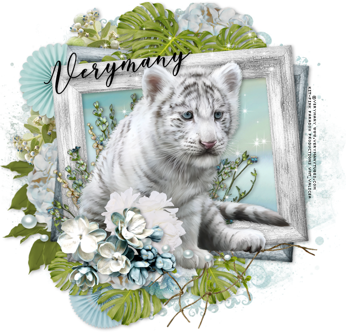 Little Tiger Summer Breeze - 2018 (700x700), Png Download