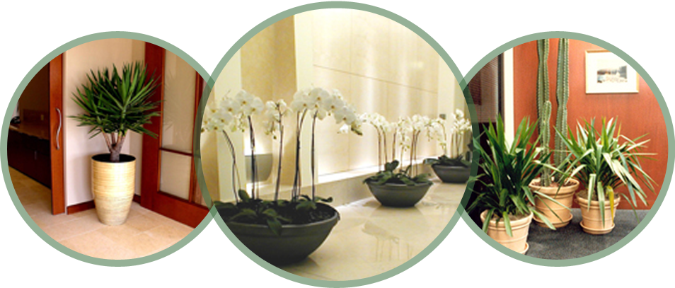 Interior Design (954x407), Png Download