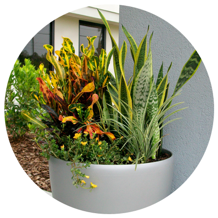 Phone Plant-benefit - Flowerpot (461x461), Png Download