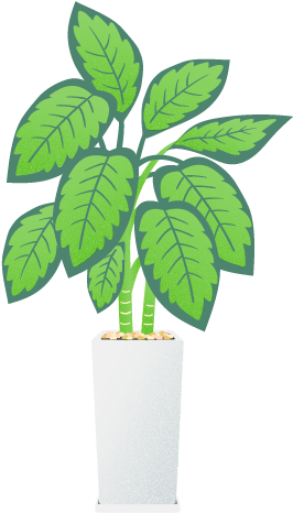 Keeping Office Plants Is No Simple Task, But It Is - Houseplant (278x478), Png Download